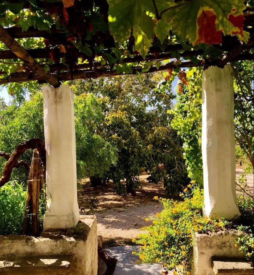 Tenuta Muzio Sannicola