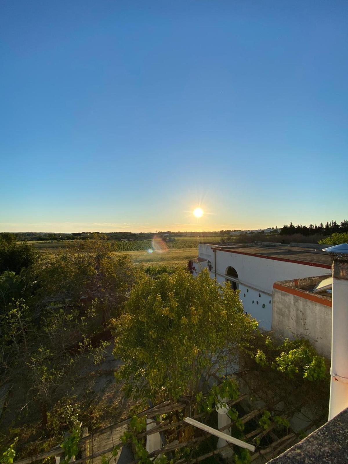 Tenuta Muzio *