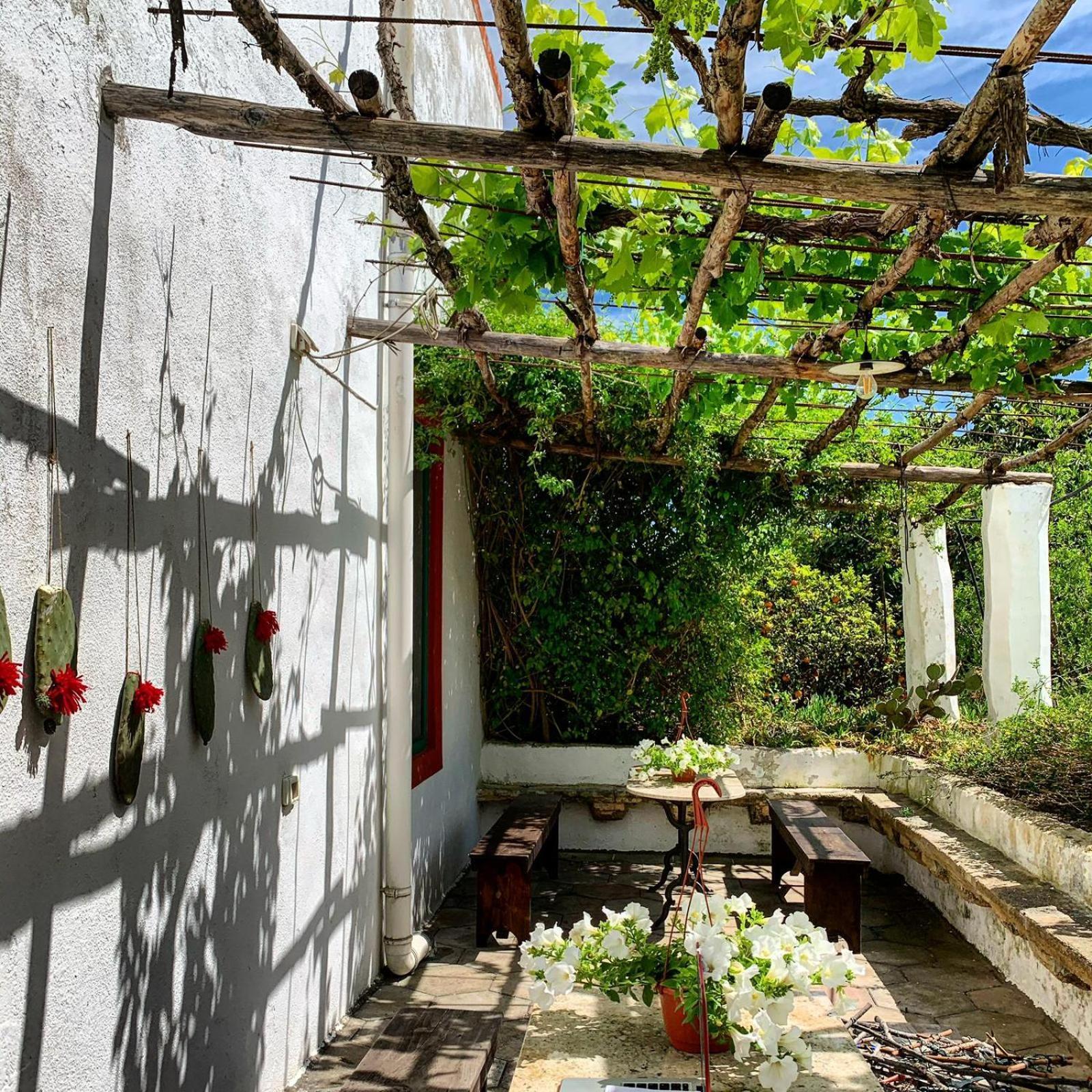 Tenuta Muzio Farm stay *