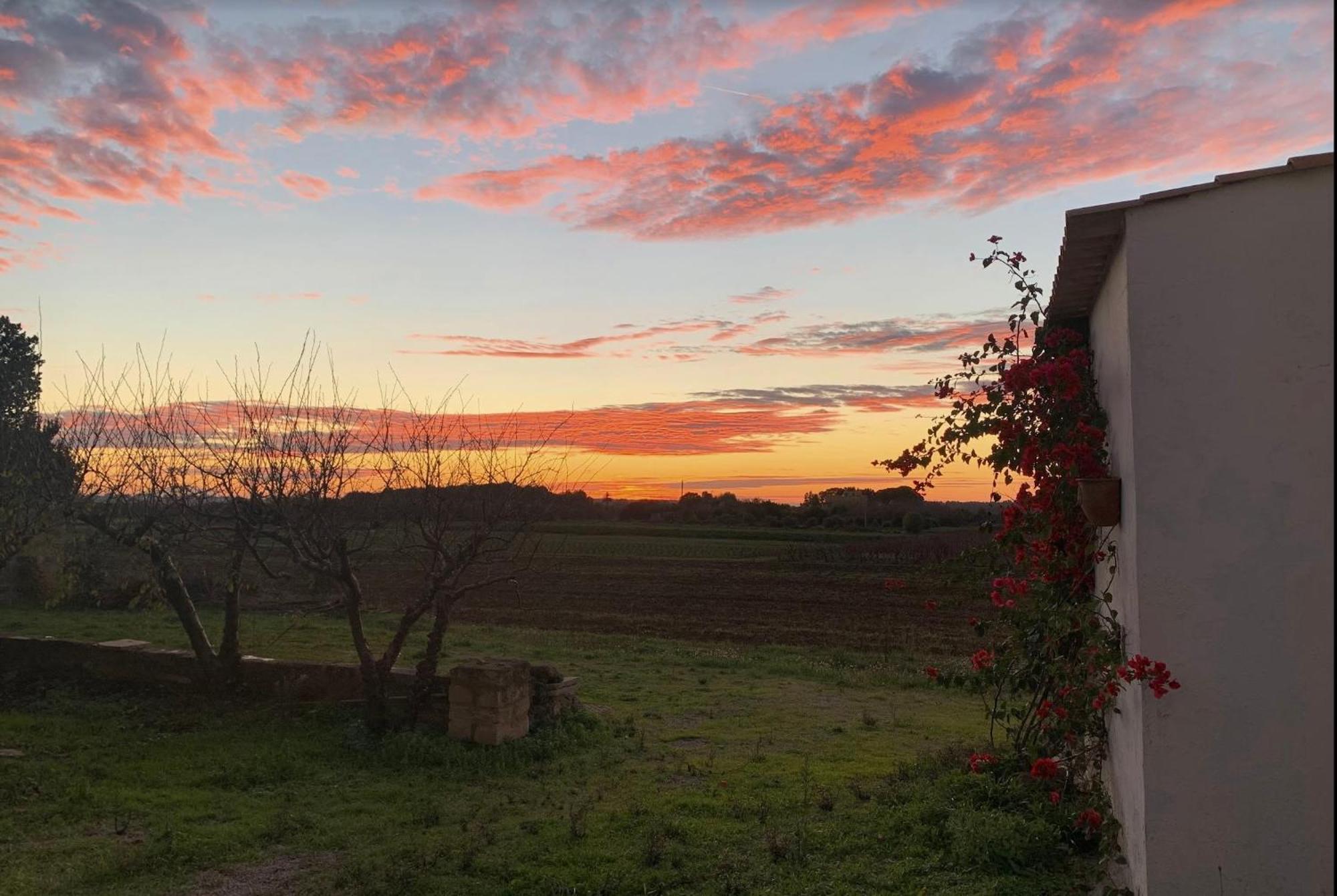 Farm stay Tenuta Muzio